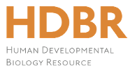 HDBR_LOGO