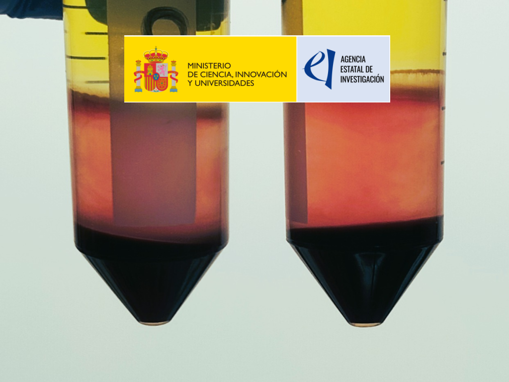 Overcoming the Epigenetic drift in culture-expanded Blood Adult Stem cells