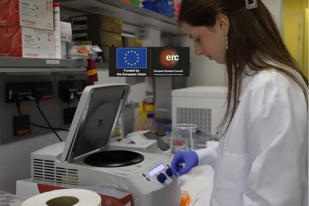 Tackling functional maturation for transplantable hematopoietic stem cell generation