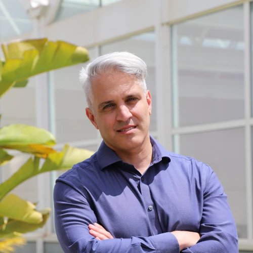 Vincenzo CalvanesePrincipal Investigator